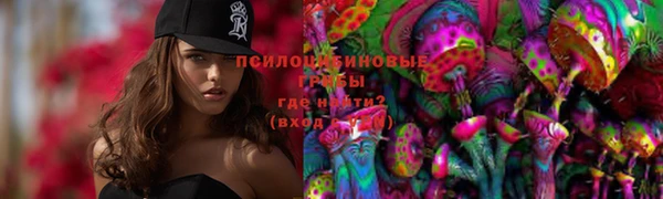 spice Армянск