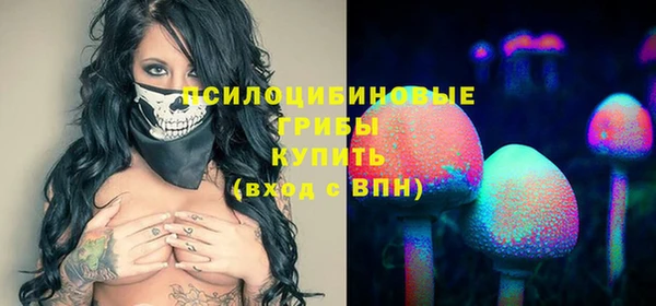spice Армянск