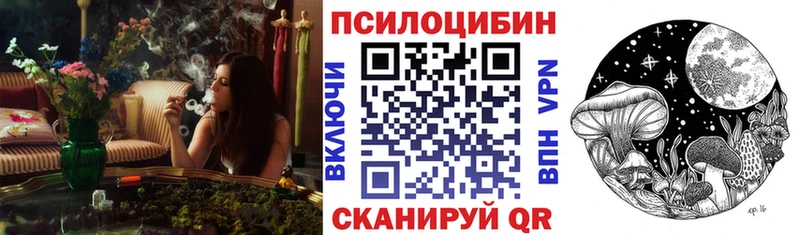 Купить где  Солигалич  Псилоцибиновые грибы GOLDEN TEACHER 